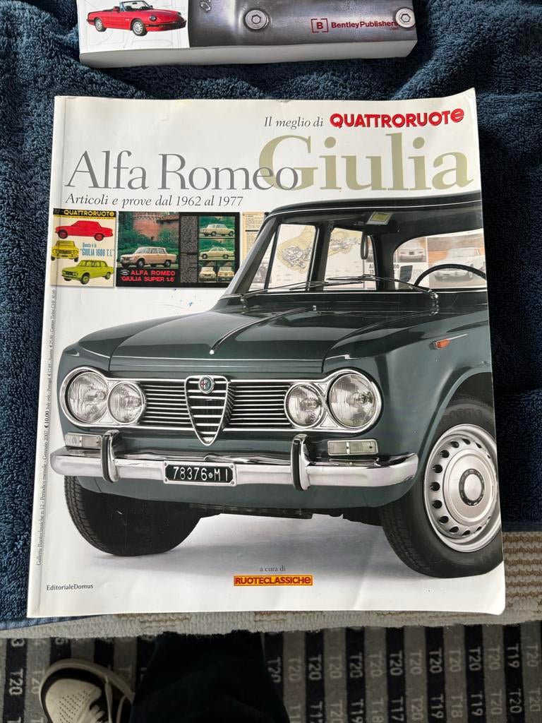 Boek Alfa Romeo Giulia 1962-1977, Boeken, Ophalen of Verzenden, Gelezen, Alfa Romeo
