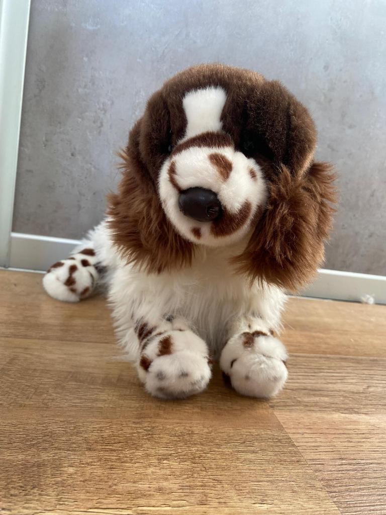 Douglas hond zo goed als nieuw, Overige merken, Zo goed als nieuw, Meerkleurig, Hond