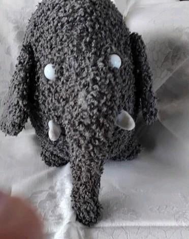 FEYENOORD en BLIJDORP mascotte OLLI  knuffel olifant, Ophalen of Verzenden, Zo goed als nieuw