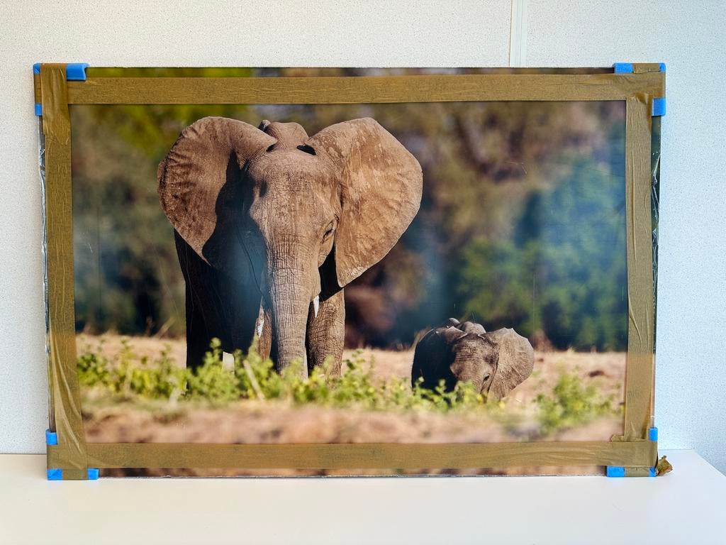 Twee nieuwe fotoprints op plexiglas, Ophalen, Oorspronkelijke maker, Nieuw, Print