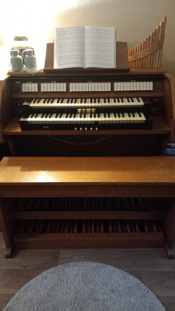 Viscount Domus 40 Orgel - Functioneel met kleine defecten, Ophalen, Gebruikt, 2 klavieren, Orgel