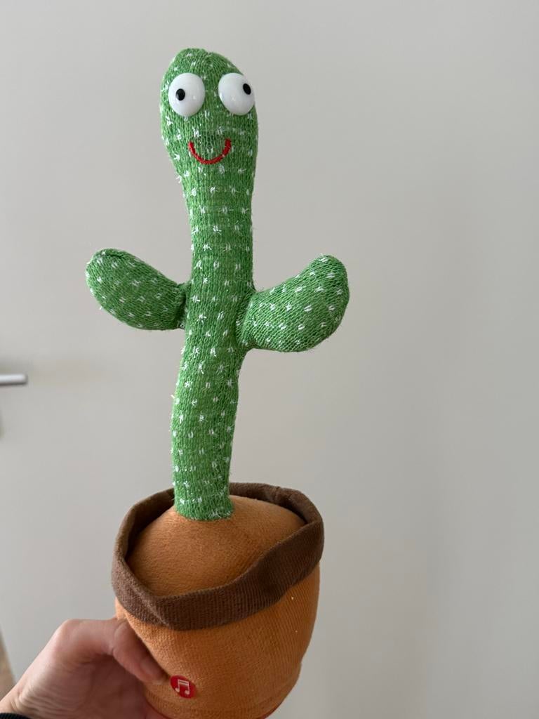 Dansende en zingende cactus speelgoed, Ophalen, Nieuw, Jongen of Meisje