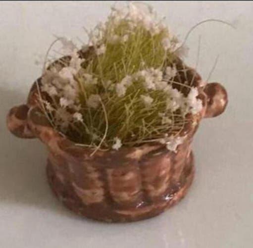Miniatuur plantenbakje met plantjes (2cm) - nog 3, Ophalen, Gebruikt