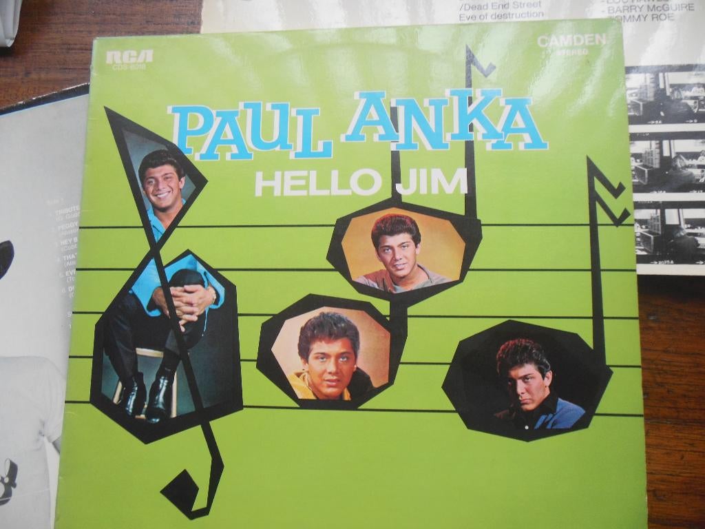 lp paul anka rca records hello jim vinyl pop rock album, Ophalen of Verzenden, Gebruikt, 12 inch, Poprock