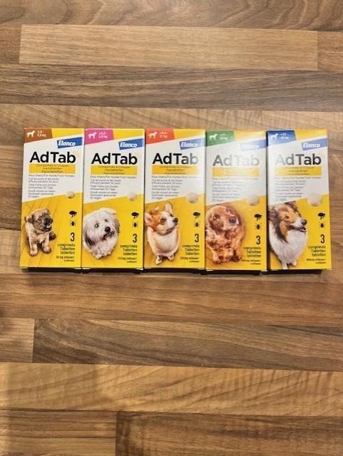ACTIE AdTab Vlooienpillen voor de hond nu vanaf €18,95, Ophalen of Verzenden, Nieuw
