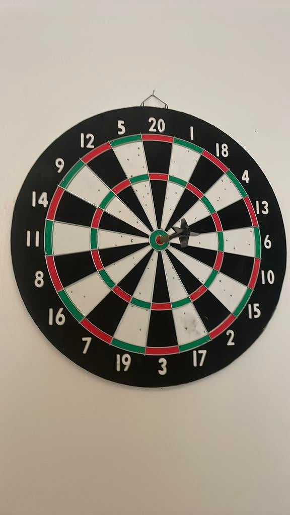 Dartbord, Sport en Fitness, Darts, Ophalen of Verzenden, Nieuw, Dartbord