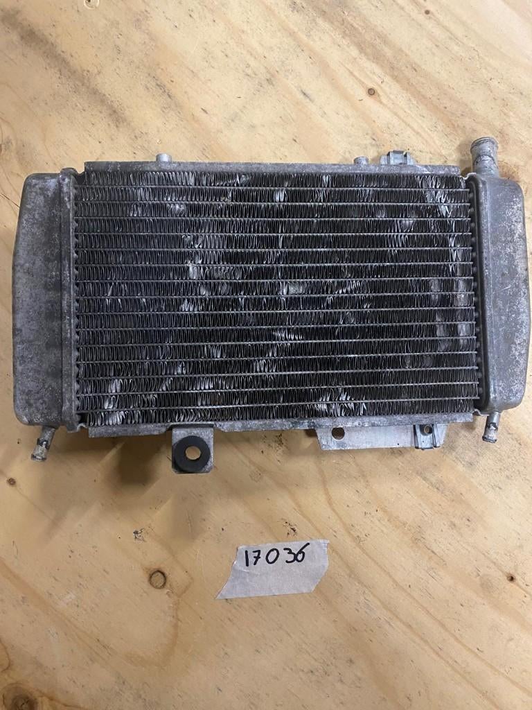Radiateur Piaggio/Gilera, Fietsen en Brommers, Brommeronderdelen | Scooters, Ophalen of Verzenden, Gebruikt, Blok, Piaggio