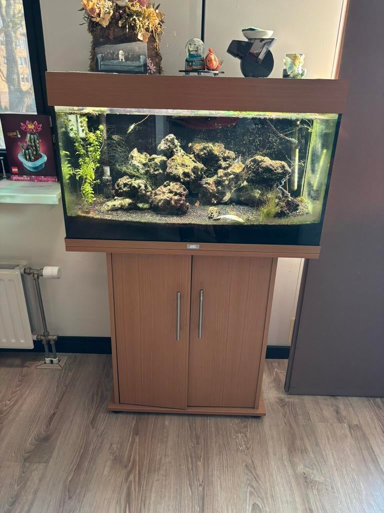 Juwel 120 liter incl vissen en veel toebehoren, Dieren en Toebehoren, Vissen | Aquaria en Toebehoren, Ophalen, Gebruikt, Gevuld zoetwateraquarium