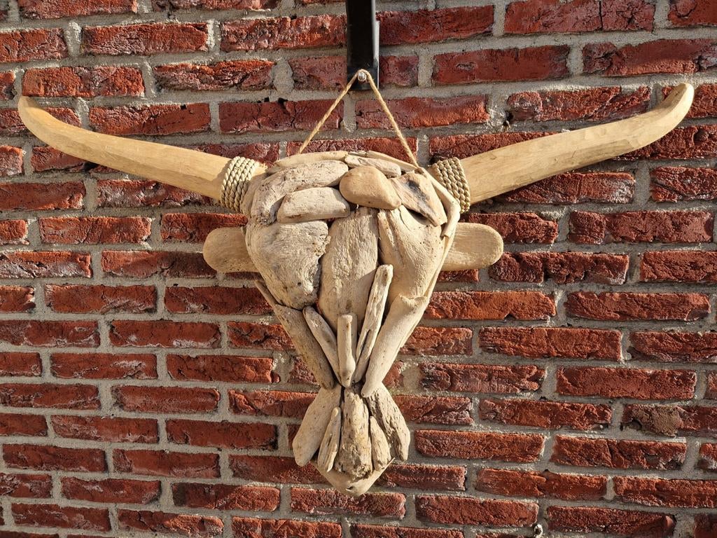 Groten stierenkop van drijfhout., Ophalen of Verzenden