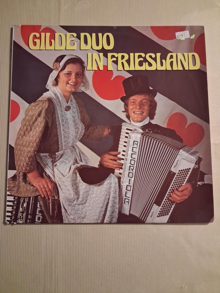 GULDE DUO MOOIE LP, Ophalen of Verzenden, Zo goed als nieuw, 12 inch, Levenslied of Smartlap