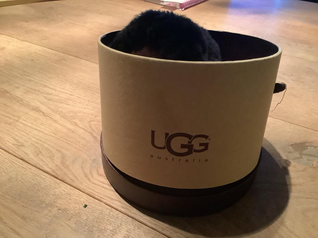 Ugg Oorwarmers in Doos - Zo goed als nieuw, Ophalen of Verzenden, Zo goed als nieuw, Muts