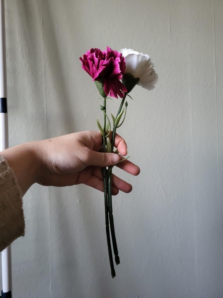 Zijde anjers, Ophalen of Verzenden