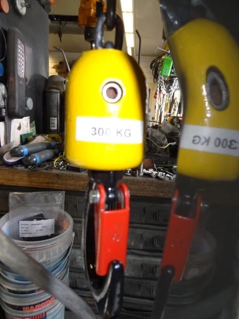 Mooie SEW takel 300 kg kraan nr 70, Ophalen, Zo goed als nieuw, Elektrisch