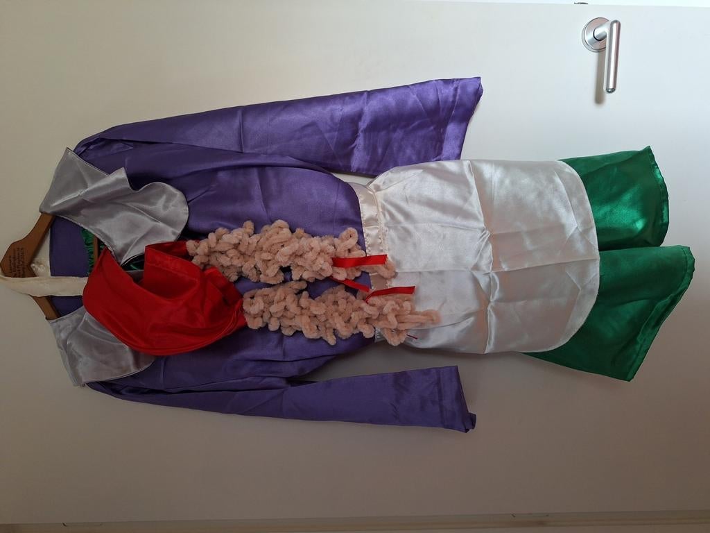 Kabouterpak, Ophalen of Verzenden, Zo goed als nieuw, Carnaval