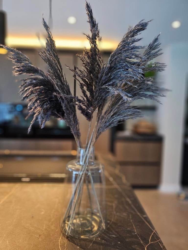 Pluimen grijs, Ophalen, Zo goed als nieuw, Binnen