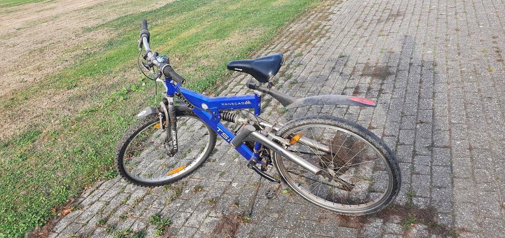 jeep renegade, Gebruikt, Ophalen, Overige merken, Heren