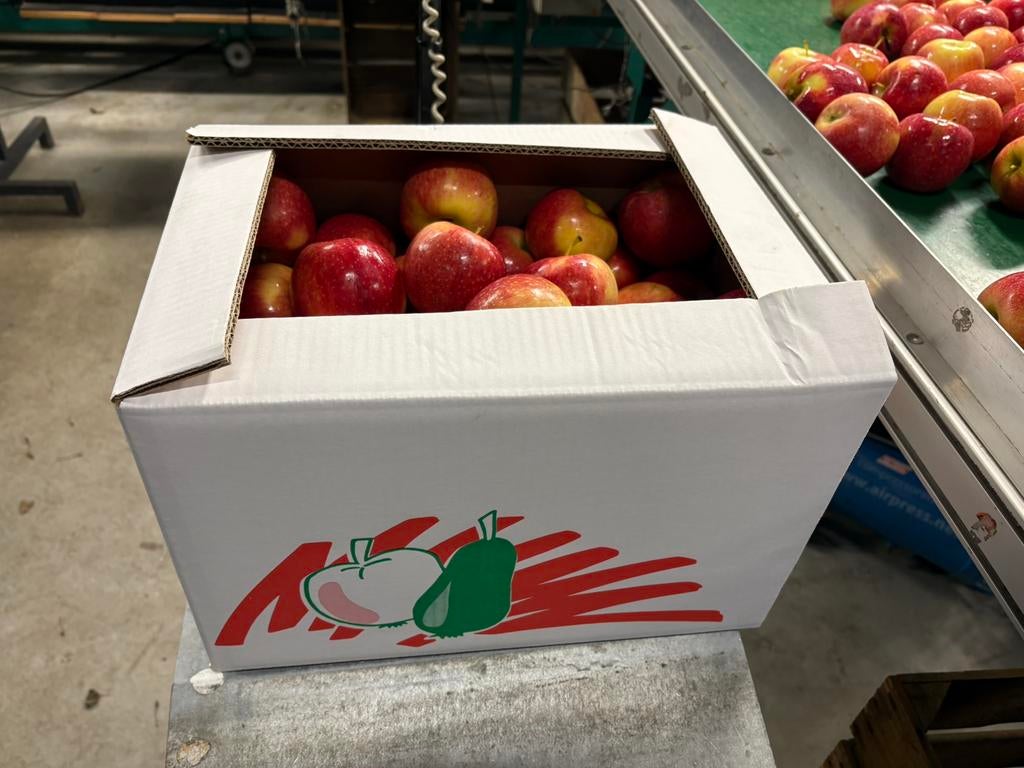 Doos met appels 10 kg, diverse rassen beschikbaar!, Diversen, Levensmiddelen, Ophalen of Verzenden