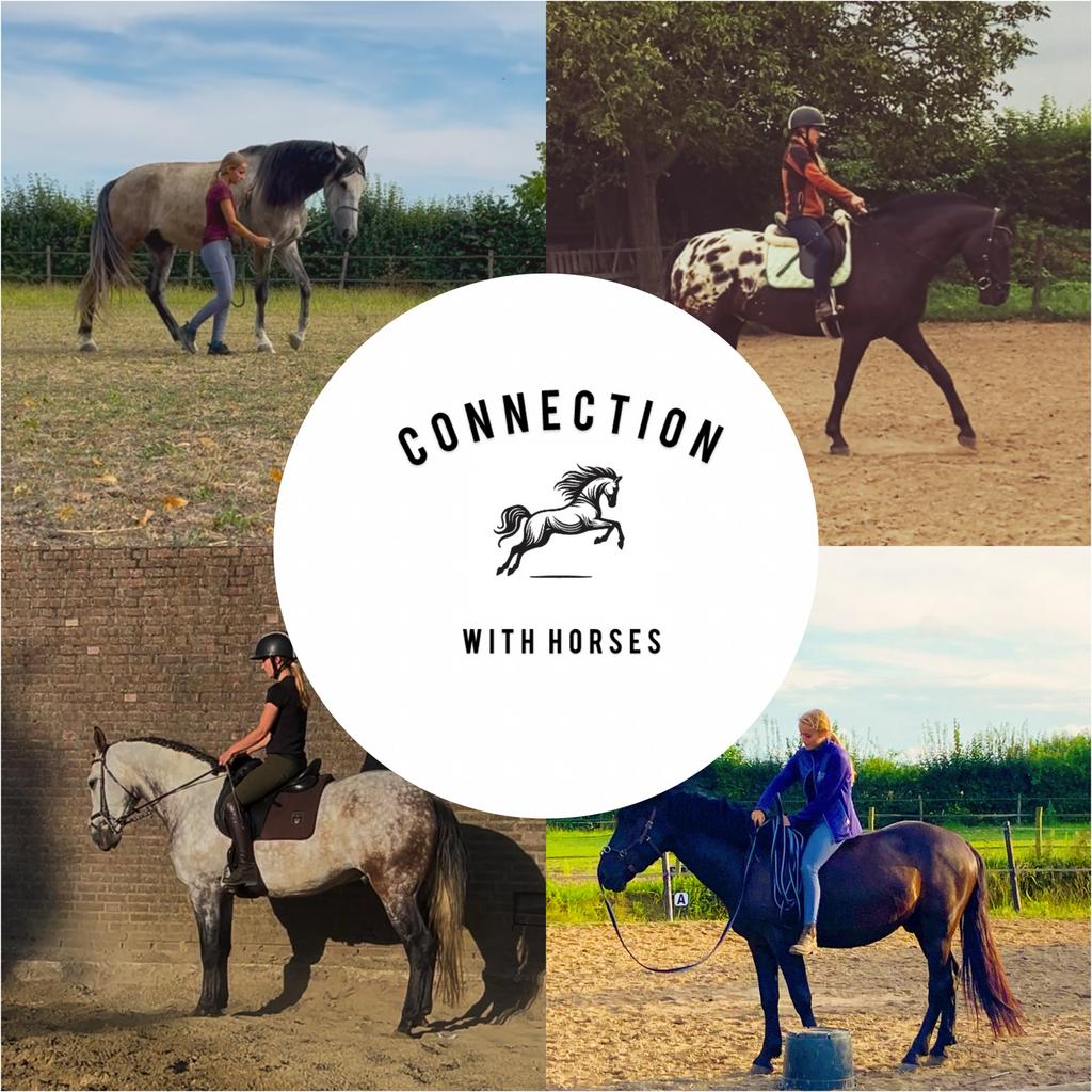 Instructie, paarden trainen, trailerladen, paardrijles, Diensten en Vakmensen, Dieren | Paarden | Verzorging, Oppas en Les, Verzorging of Verzorgpony's