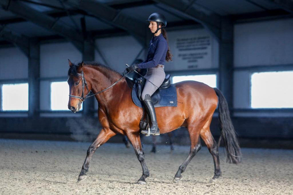 Pony’s inrijden/ doorrijden, Ruiter of Bijrijder