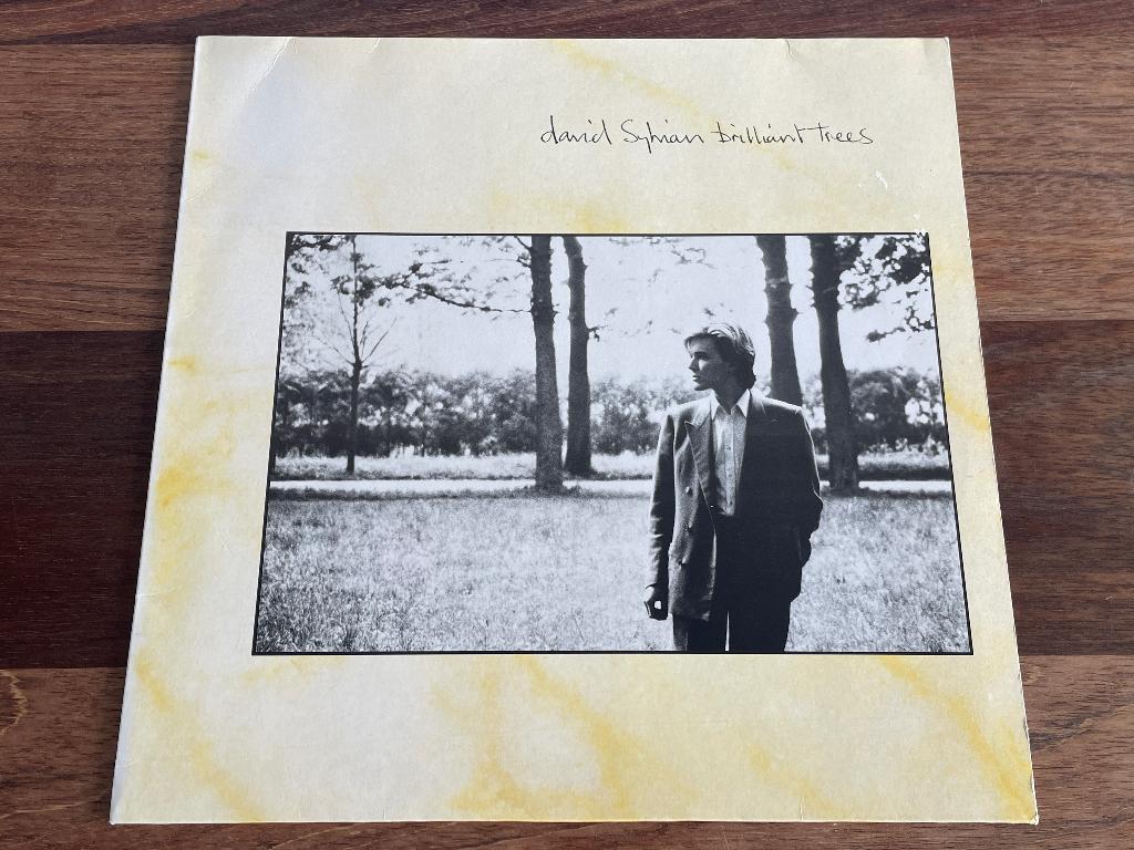 Vinyl LP David Sylvian Brilliant Trees ( Japan ) EU, Ophalen of Verzenden, 1980 tot 2000, Gebruikt, 12 inch