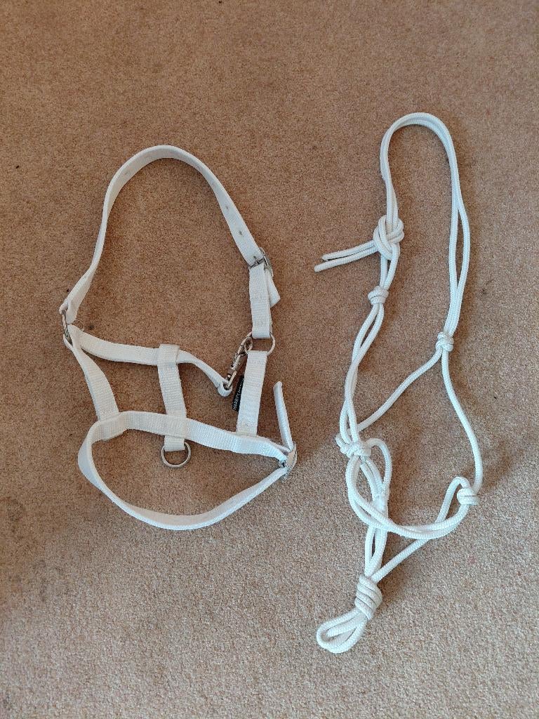 paardenspullen, Dieren en Toebehoren, Paarden en Pony's | Overige Paardenspullen, Ophalen of Verzenden, Gebruikt, Dressuur