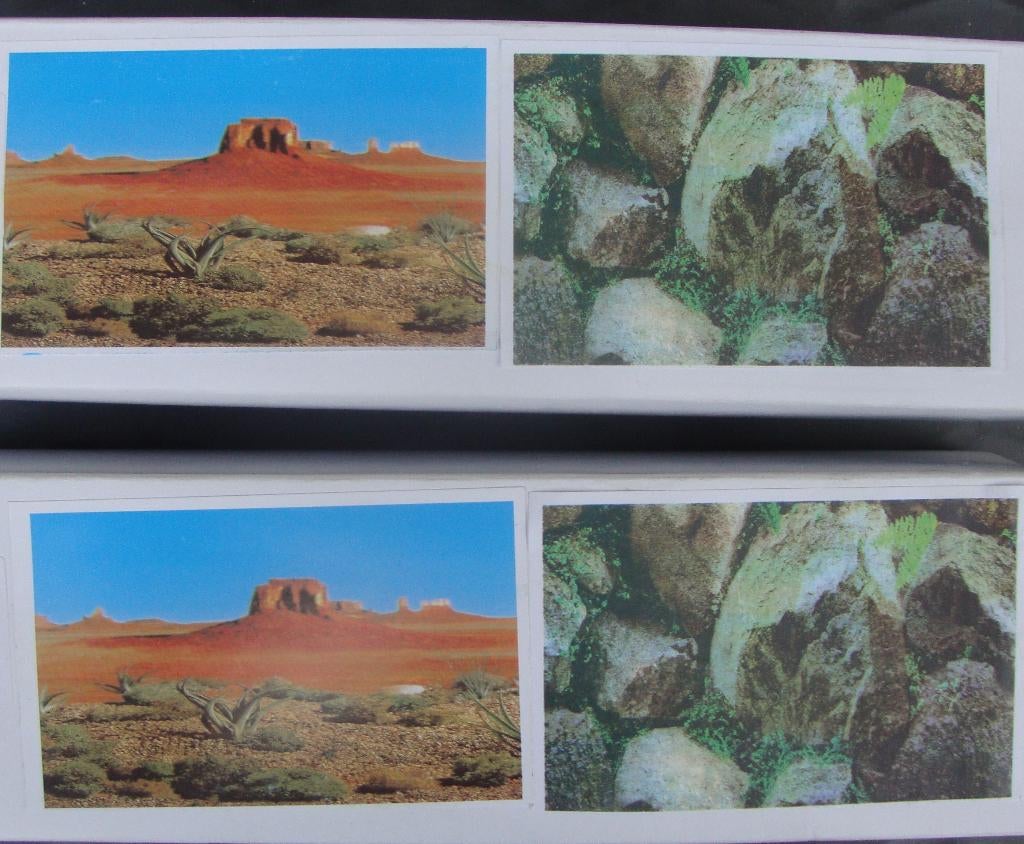 terrarium achtergrond decoratie - per meter € 1,00 op=op !, Ophalen of Verzenden, Nieuw, Overige typen