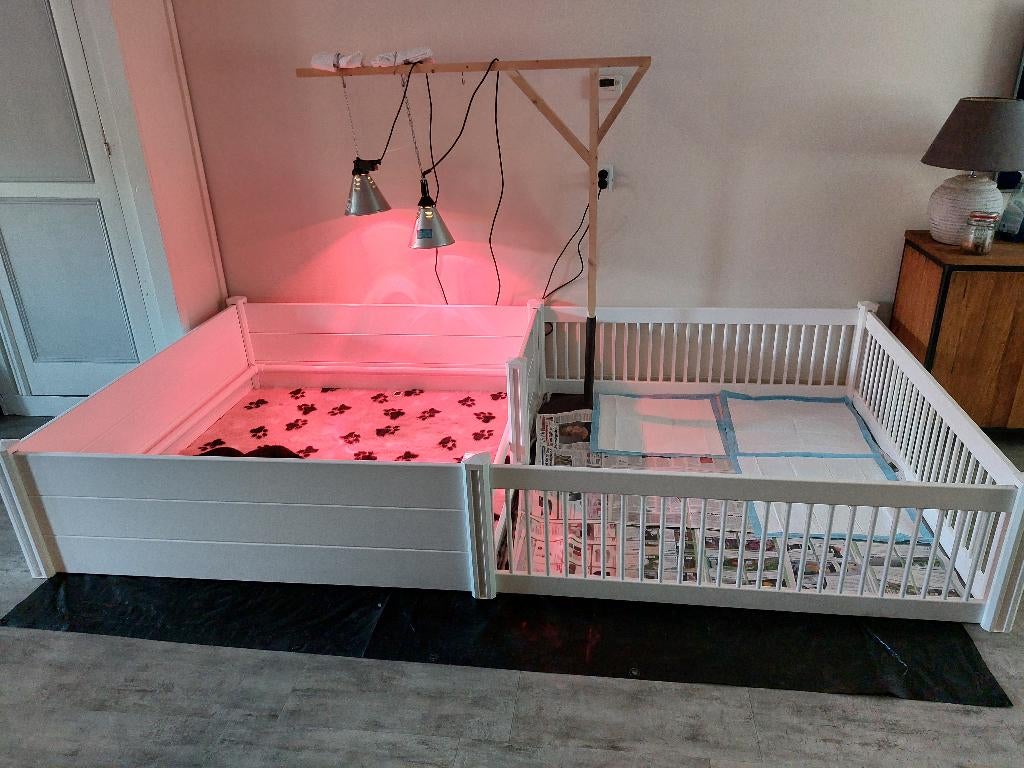 Te huur XXL werpkist met uitloopren + toebehoren + buitenren, Dieren en Toebehoren, Ophalen, Hondenkennel, 110 cm of meer, Minder dan 65 cm