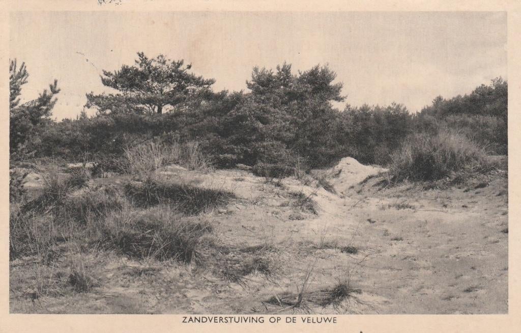 HULSHORST Zandverstuiving op de Veluwe 1950, Verzenden, 1940 tot 1960, Gelopen, Gelderland