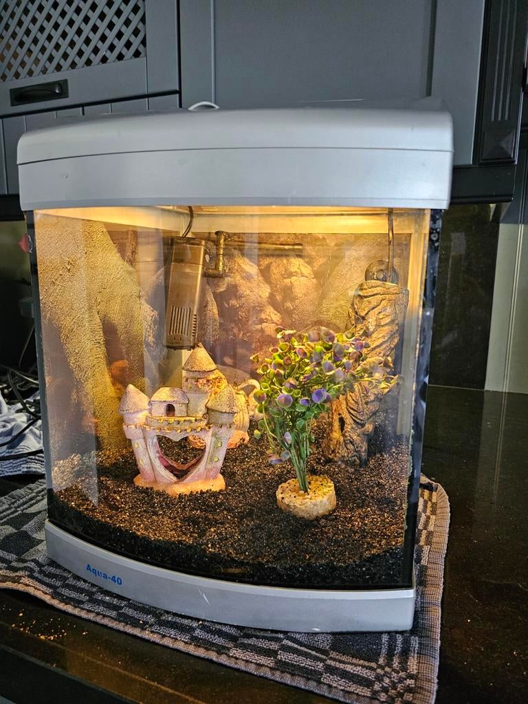 Aqua-40 aquarium, zilver grijs., Ophalen, Gebruikt, Leeg aquarium