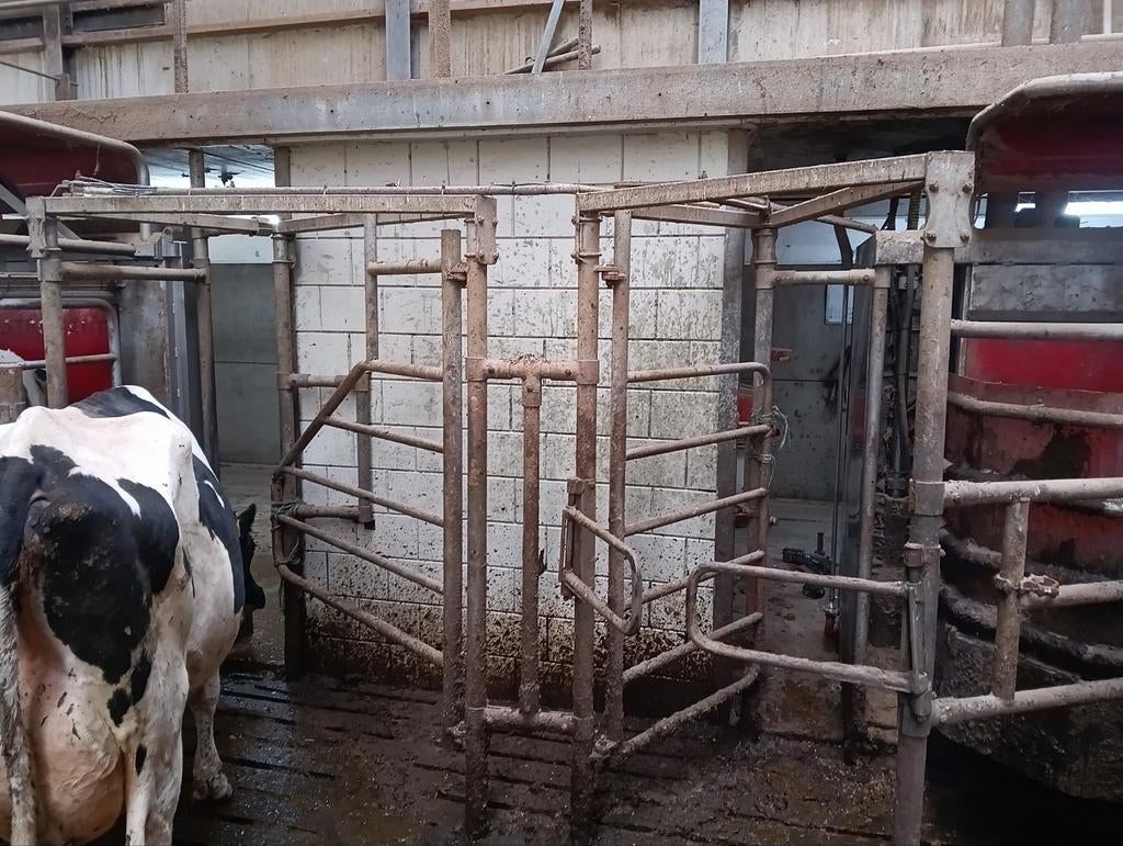 Driewegpoort/ selectie poort lely