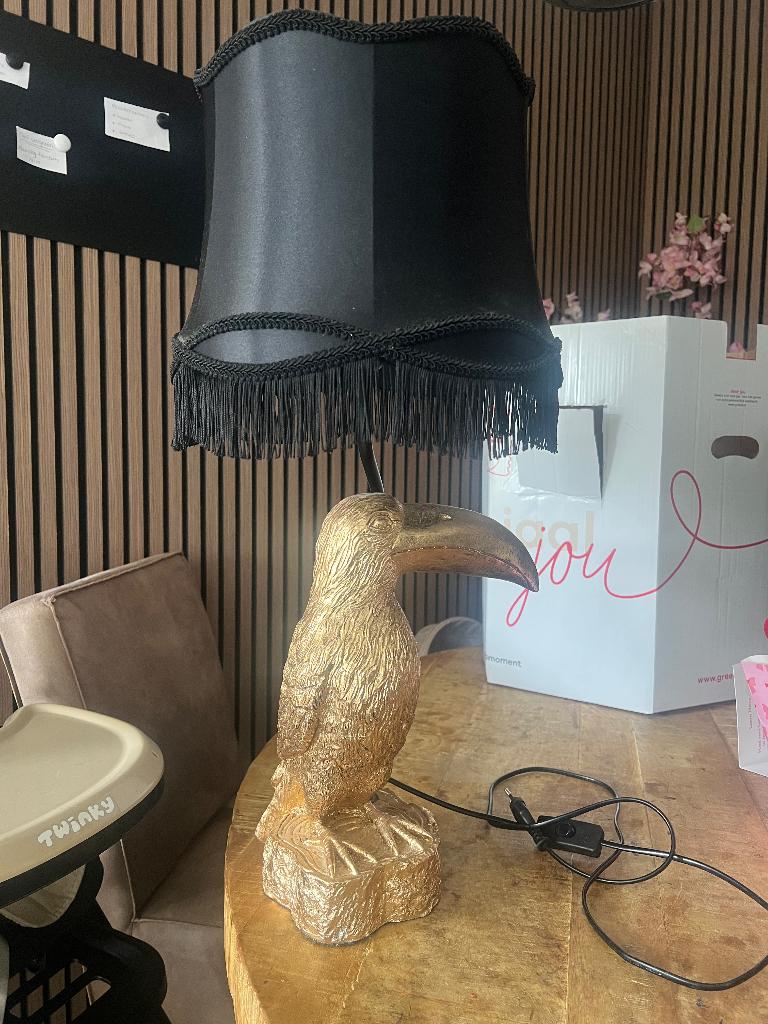 Designer lamp, Ophalen, Zo goed als nieuw, 50 tot 75 cm