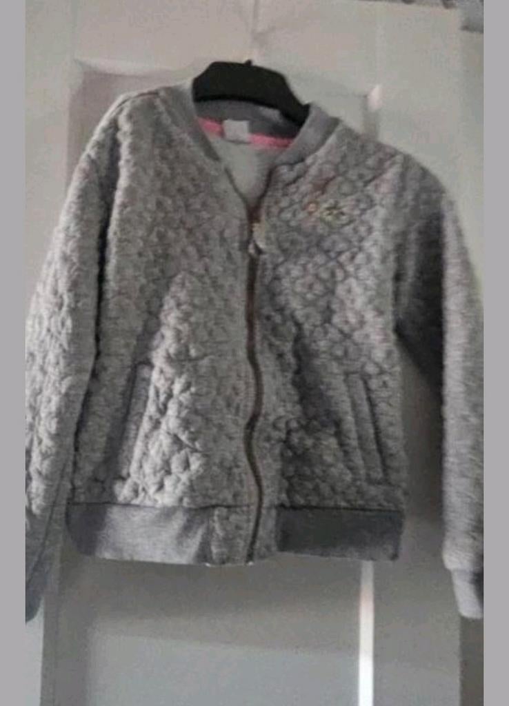 Grijs vest maat 134-140, Ophalen of Verzenden, Zo goed als nieuw, Meisje, Trui of Vest