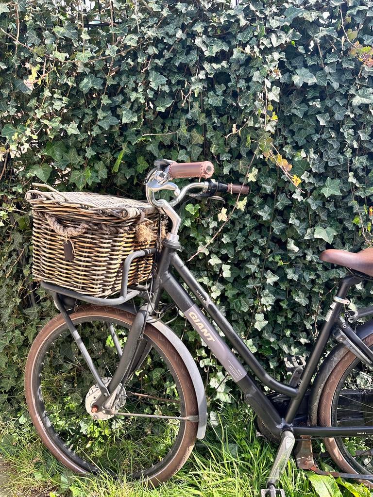 Gratis Giant E-bike (opknapper, zonder accu), Ophalen, Gebruikt, Giant