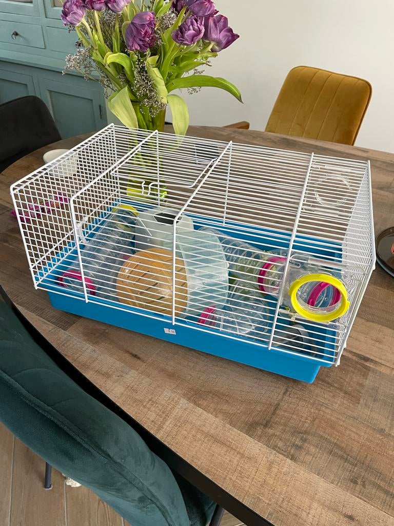 Hamsterkooi met toebehoren, Dieren en Toebehoren, Minder dan 60 cm, Kooi, Minder dan 75 cm, Ophalen of Verzenden