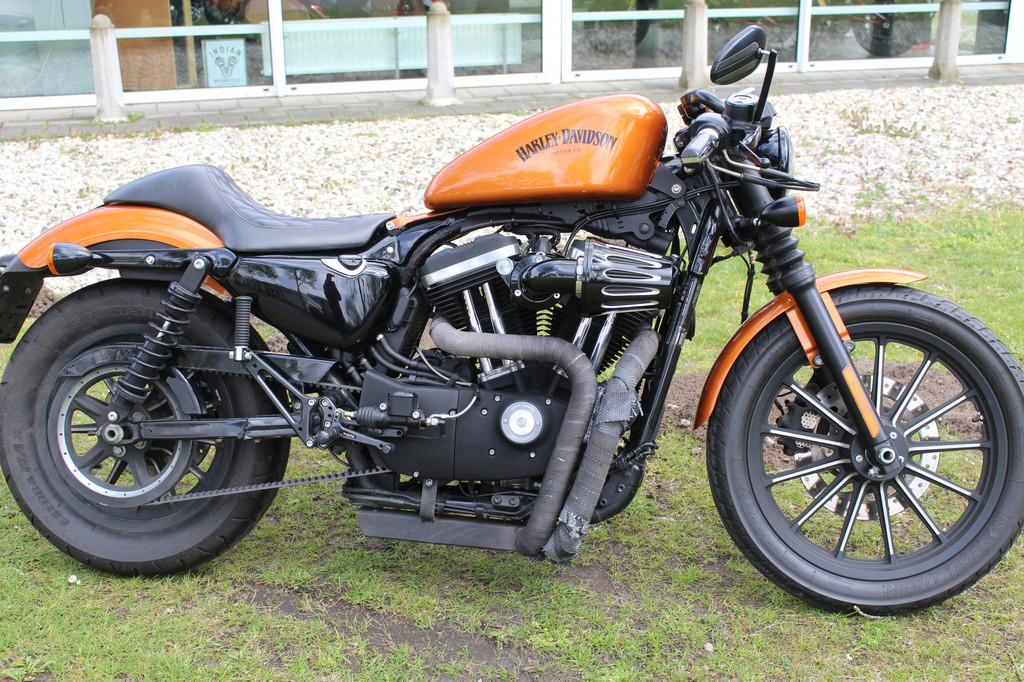 Harley-Davidson Sportster XL 883 xl883n sporster iron - foto 2