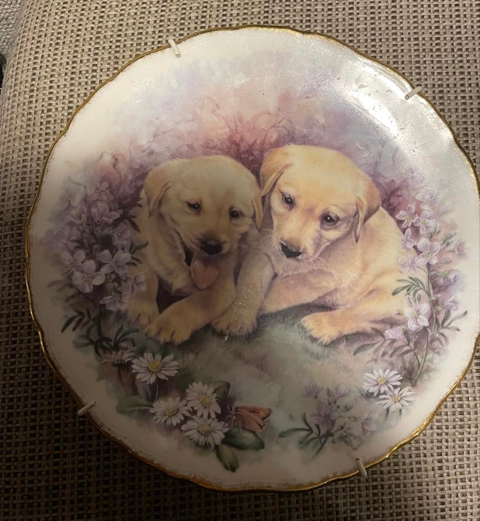 Royal Kent Decoratieve Wandplaat - Labrador Puppy's, Ophalen of Verzenden