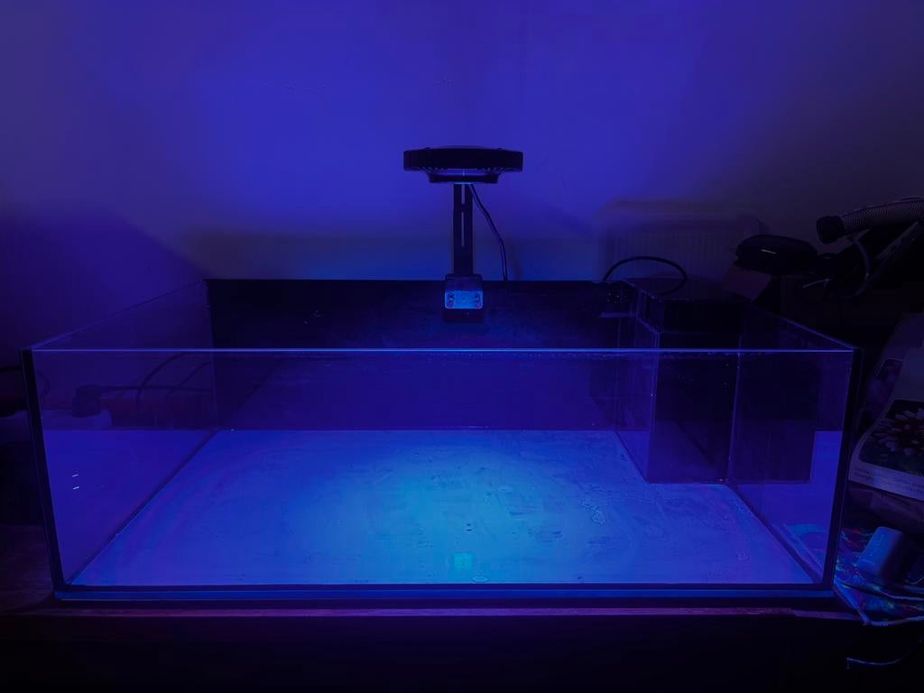 Zoutwater aquarium, Ophalen, Gebruikt, Leeg aquarium