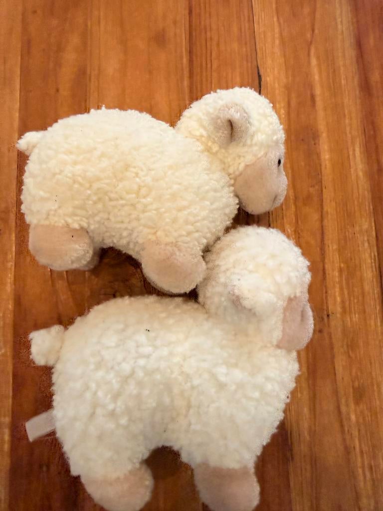 2 schattige schaapjes knuffels - zacht en knuffelbaar, Overige typen, Ophalen of Verzenden, Zo goed als nieuw, Klein (minder dan 20 cm)
