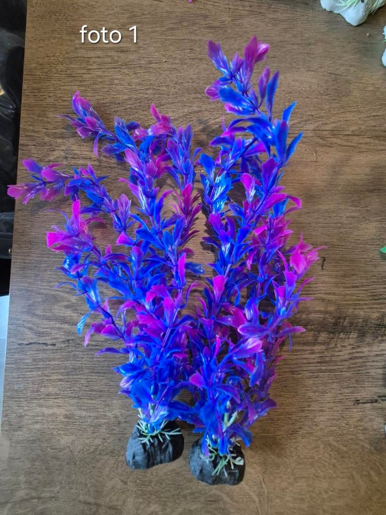 Nep plantjes voor het aquarium, Dieren en Toebehoren, Ophalen, Plant(en), Steen of Hout