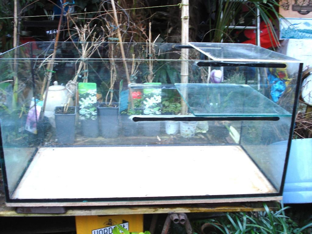 Waterschildpadden AQUARIUM 100 x 50 x 50, Ophalen, Gebruikt, Overige typen