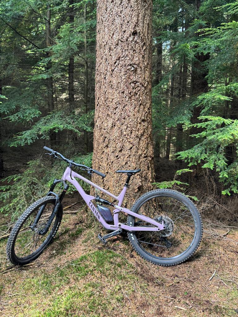 Canyon Spectral 5, 28 inch, Vering, 10 tot 15 versnellingen, Zo goed als nieuw