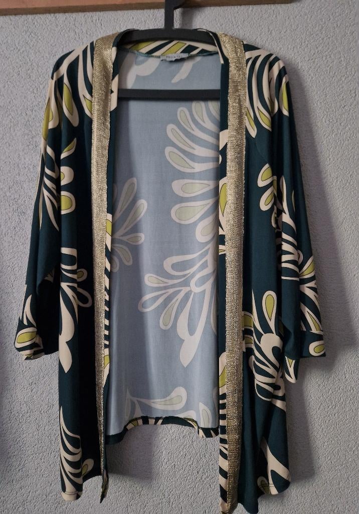 Nieuw Promiss kimono top/vest Maat 48, Kleding | Dames, Grote Maten, Promiss, Overige kleuren, Trui of Vest, Nieuw