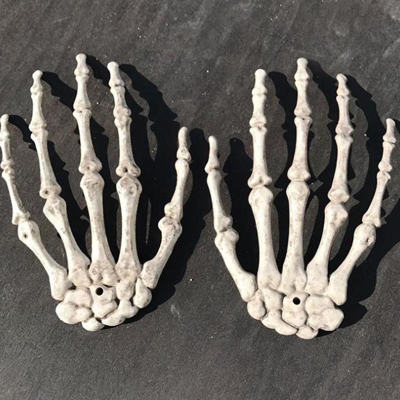 Handen Menselijk Anatomie Model / School Botten Skelet, Verzenden, Nieuw