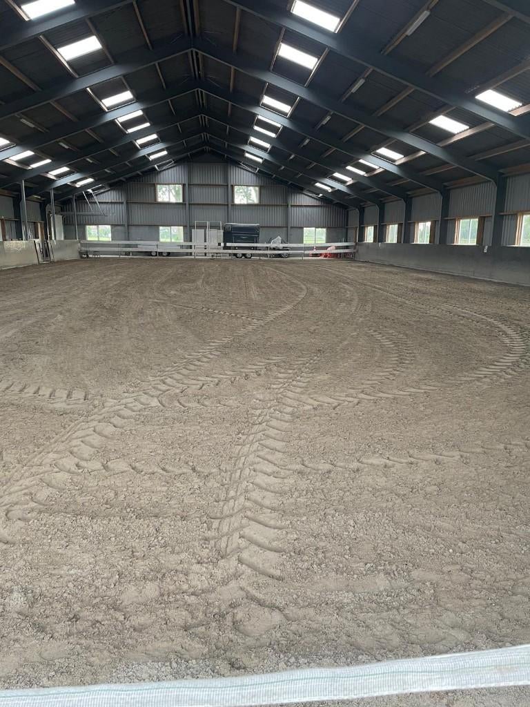 Paardenpension, Dieren en Toebehoren, Stalling en Weidegang, Weidegang, 4 paarden of pony's of meer