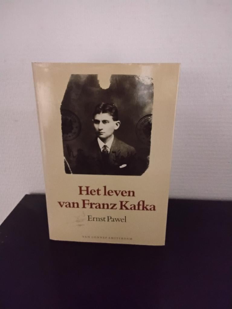 Het leven van Franz Kafka - Ernst Pavel (Nieuwstaat), Ophalen of Verzenden, Nieuw, Ernst Pavel, Kunst en Cultuur