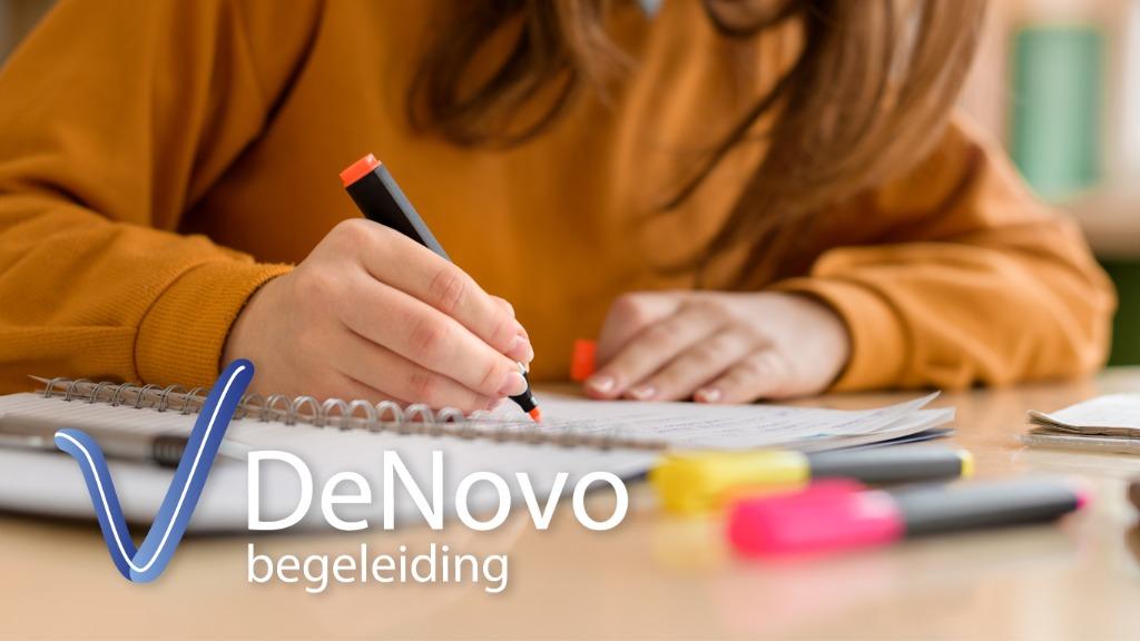 Studiebegeleiding en bijles natuurkunde scheikunde wiskunde, Privéles, Bijles