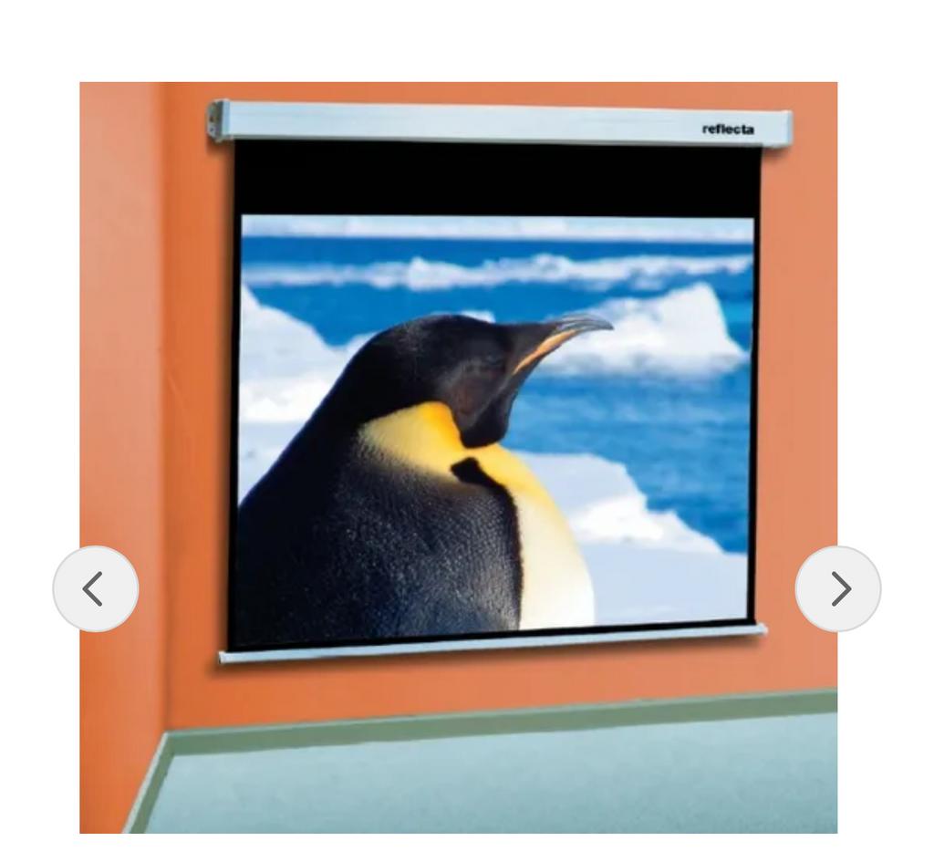 Reflecta Projectiescherm 240x240cm nieuw, Ophalen, Handmatig, Nieuw