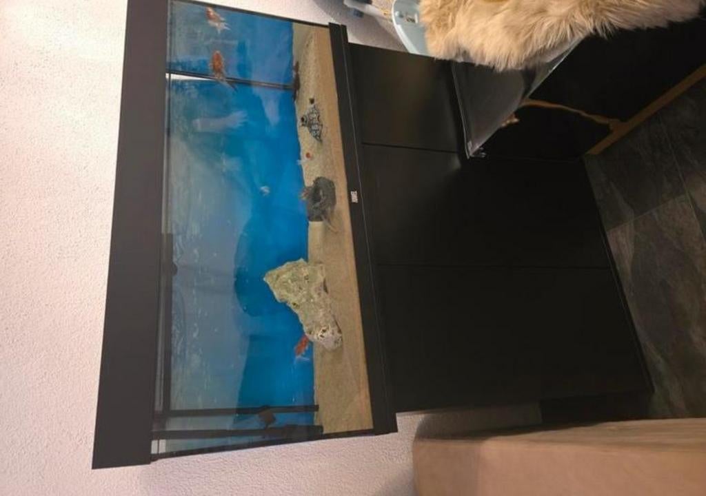 Aquarium juwel, Ophalen, Zo goed als nieuw, Gevuld zoetwateraquarium