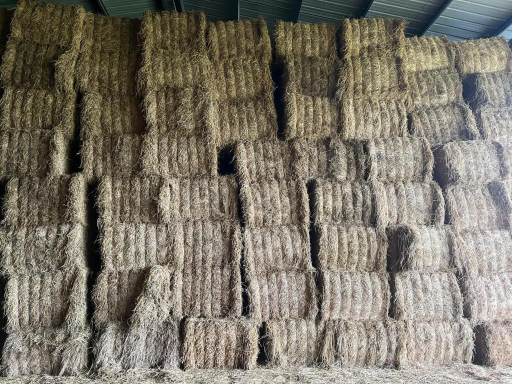 Natuurlijk weidehooi – Voederkwaliteit, Dieren en Toebehoren, Ophalen, Vee