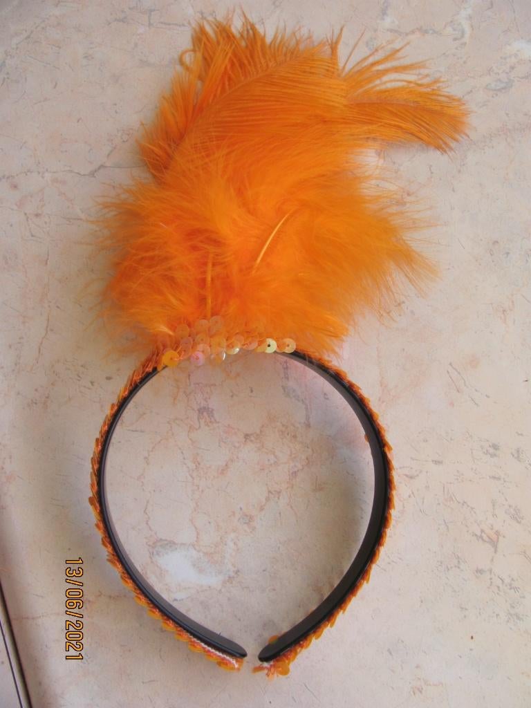 NIEUW Oranje DIADEEM haarband pailletten veren Carnaval kind, Ophalen of Verzenden, Nieuw, Kostuum, Carnaval